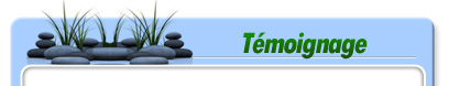tem-entete
